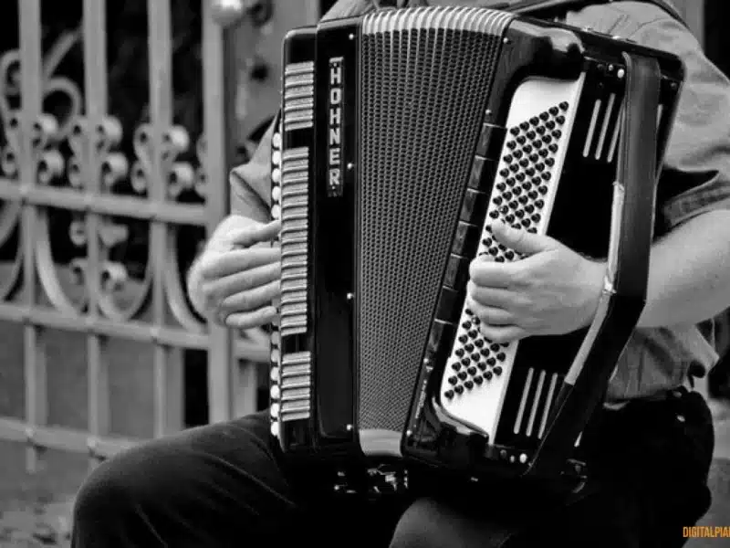 accordion vets