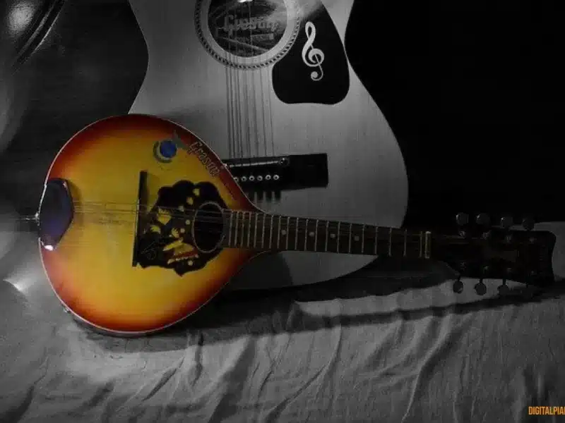 mandolin