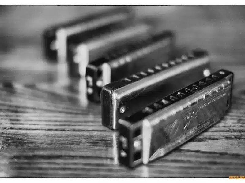 harmonicas