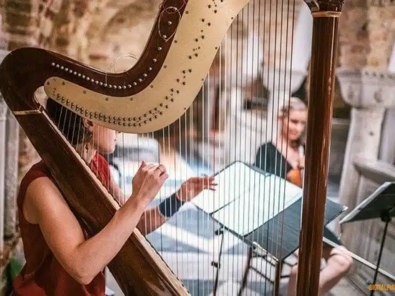 harp player